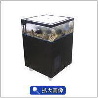 催事用魚介類水槽 磯丸